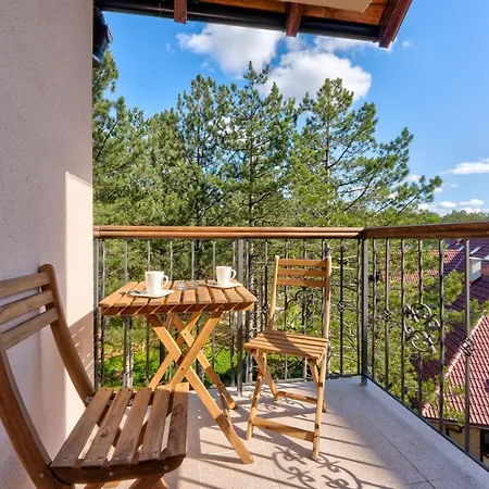 Apartment Grey Mountain Zlatibor