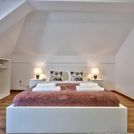 Grey Mountain Zlatibor