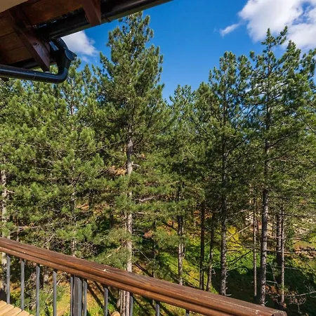 Apartament Grey Mountain Zlatibor