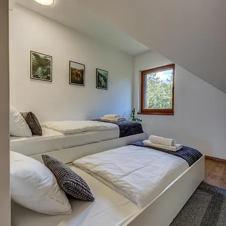 Grey Mountain Zlatibor