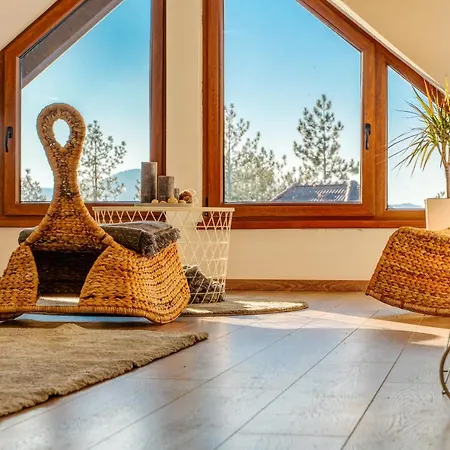 Grey Mountain Zlatibor