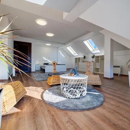 Grey Mountain * Zlatibor