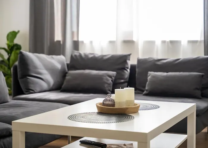 Grey Mountain * Zlatibor