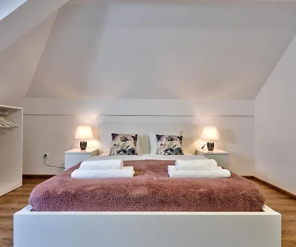 Grey Mountain Zlatibor