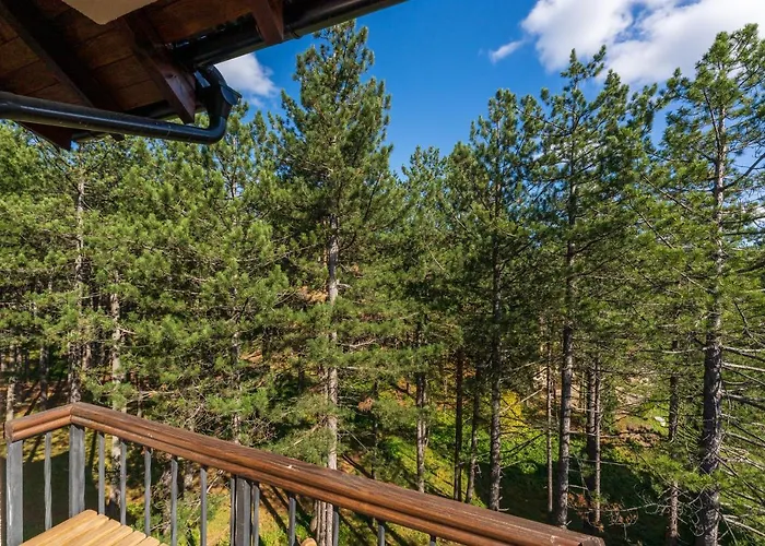 Appartamento Grey Mountain Zlatibor