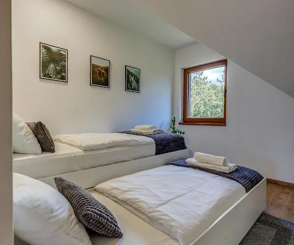 Grey Mountain Zlatibor