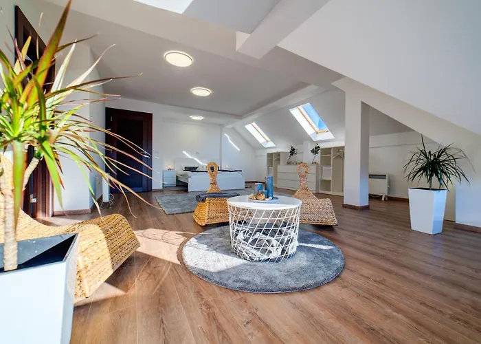 Grey Mountain * Zlatibor